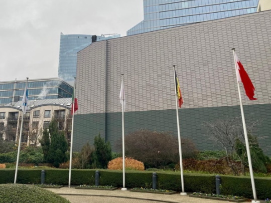 Bahrain's flag hoisted on WCO headquarters in Brussels